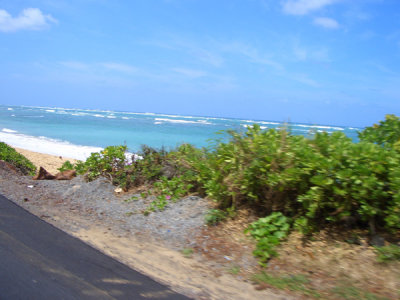 HAWI4215.JPG