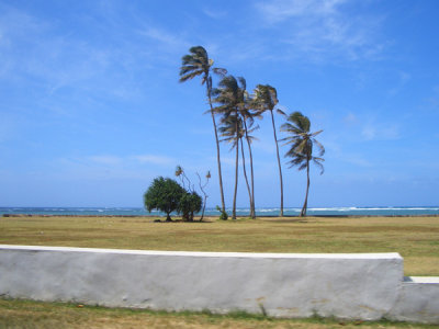 HAWI4219.JPG
