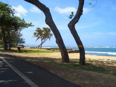 HAWI4228.JPG