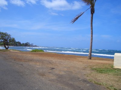 HAWI4230.JPG