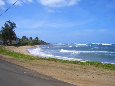 HAWI4231.JPG