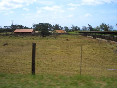 HAWI4236.JPG
