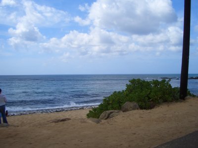 HAWI4249.JPG