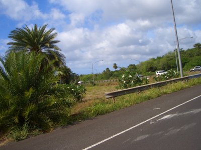 HAWI4250.JPG