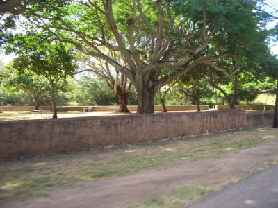 HAWI4251.JPG