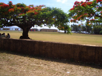 HAWI4252.JPG