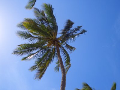 HAWI4257.JPG