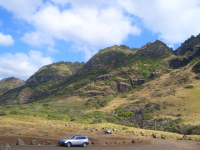 HAWI4263.JPG