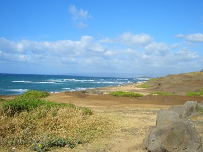 HAWI4264.JPG