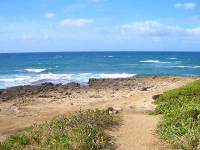 HAWI4265.JPG