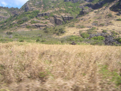HAWI4275.JPG