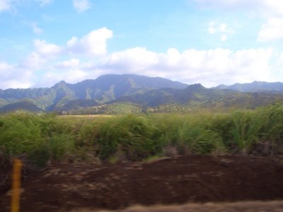 HAWI4285.JPG