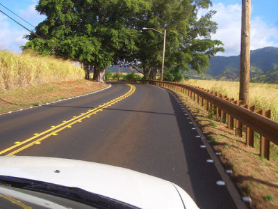 HAWI4290.JPG
