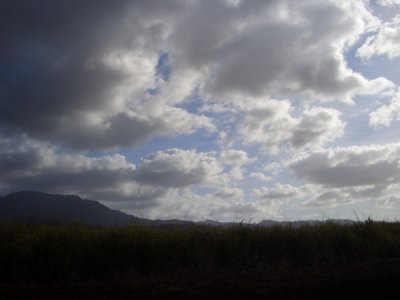 HAWI4294.JPG
