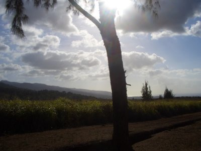 HAWI4295.JPG
