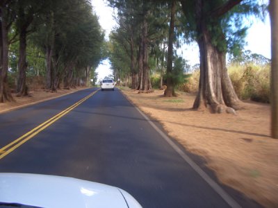 HAWI4301.JPG