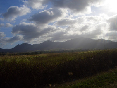 HAWI4303.JPG