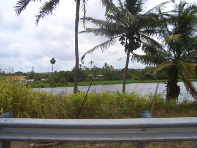 HAWI4320.JPG
