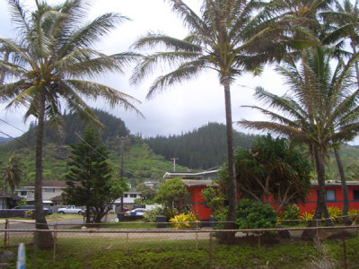 HAWI4326.JPG