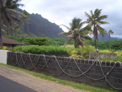 HAWI4336.JPG