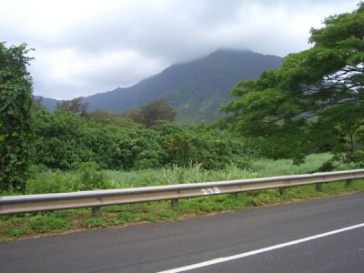 HAWI4340.JPG