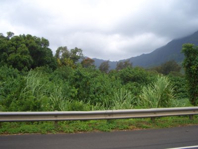 HAWI4341.JPG