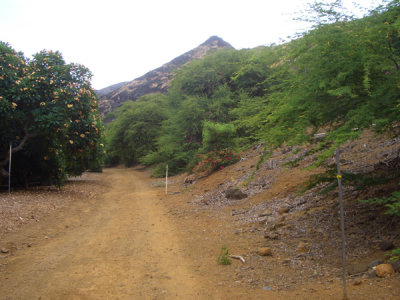 HAWI4349.JPG