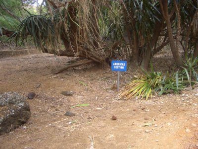 HAWI4363.JPG