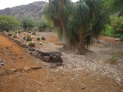 HAWI4364.JPG