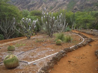 HAWI4367.JPG