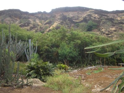 HAWI4369.JPG