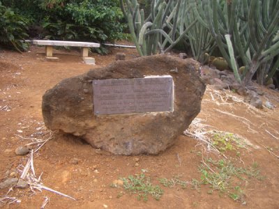 HAWI4370.JPG