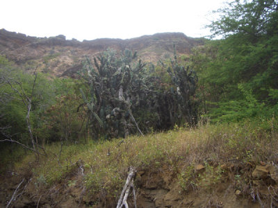 HAWI4371.JPG