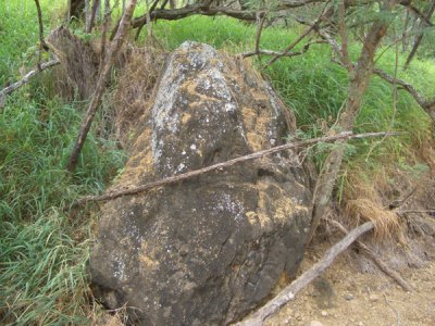 HAWI4372.JPG