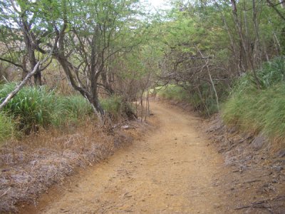 HAWI4373.JPG