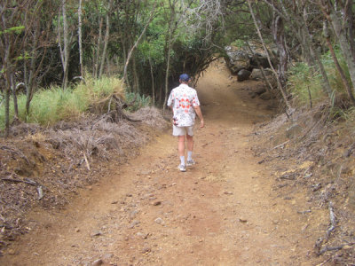 HAWI4374.JPG