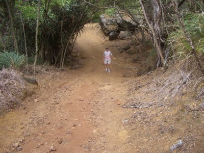 HAWI4375.JPG