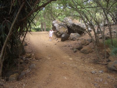 HAWI4376.JPG