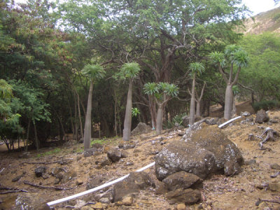 HAWI4384.JPG