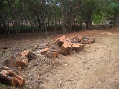 HAWI4388.JPG
