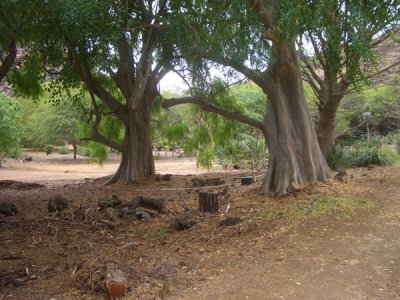 HAWI4389.JPG