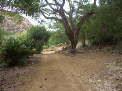 HAWI4392.JPG