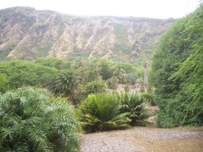HAWI4395.JPG