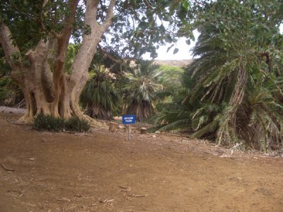 HAWI4397.JPG
