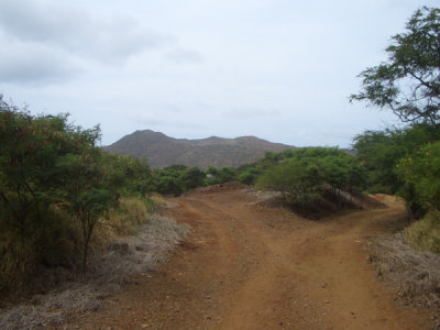 HAWI4398.JPG