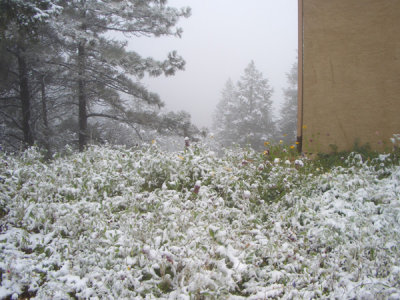 MONT5509.JPG