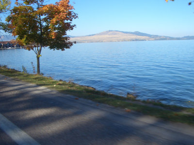 MONT5529.JPG