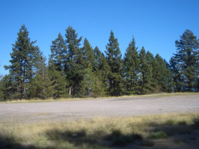 MONT5539.JPG