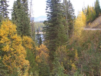 MONT5610.JPG