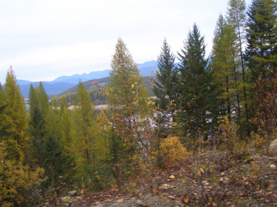 MONT5628.JPG